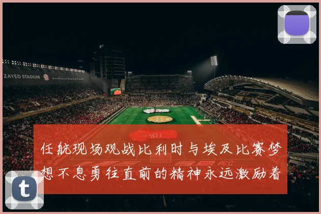 任航现场观战比利时与埃及比赛梦想不息勇往直前的精神永远激励着我们